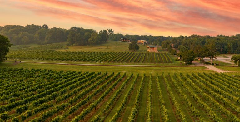 Arrington Vineyards