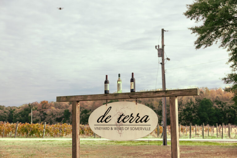 de terra Vineyards & Wines