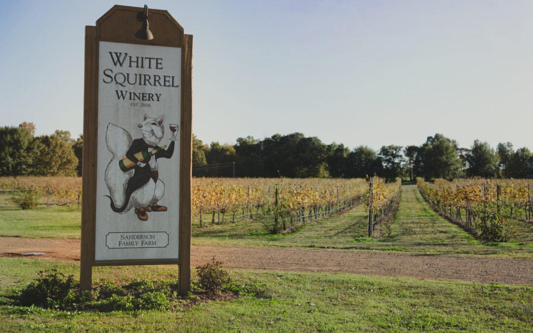 White Squirrel Winery