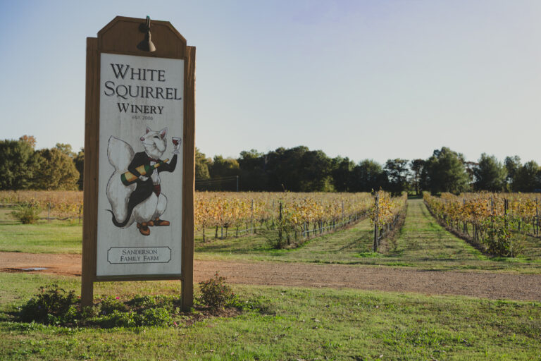 White Squirrel Winery