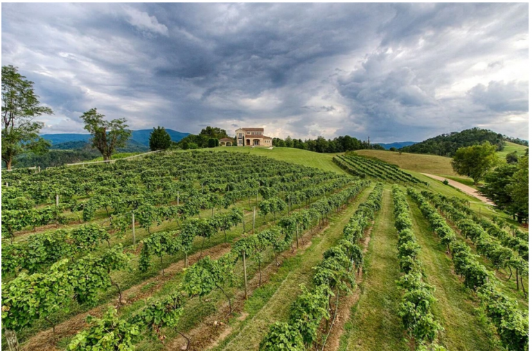 Villa Nove Vineyards