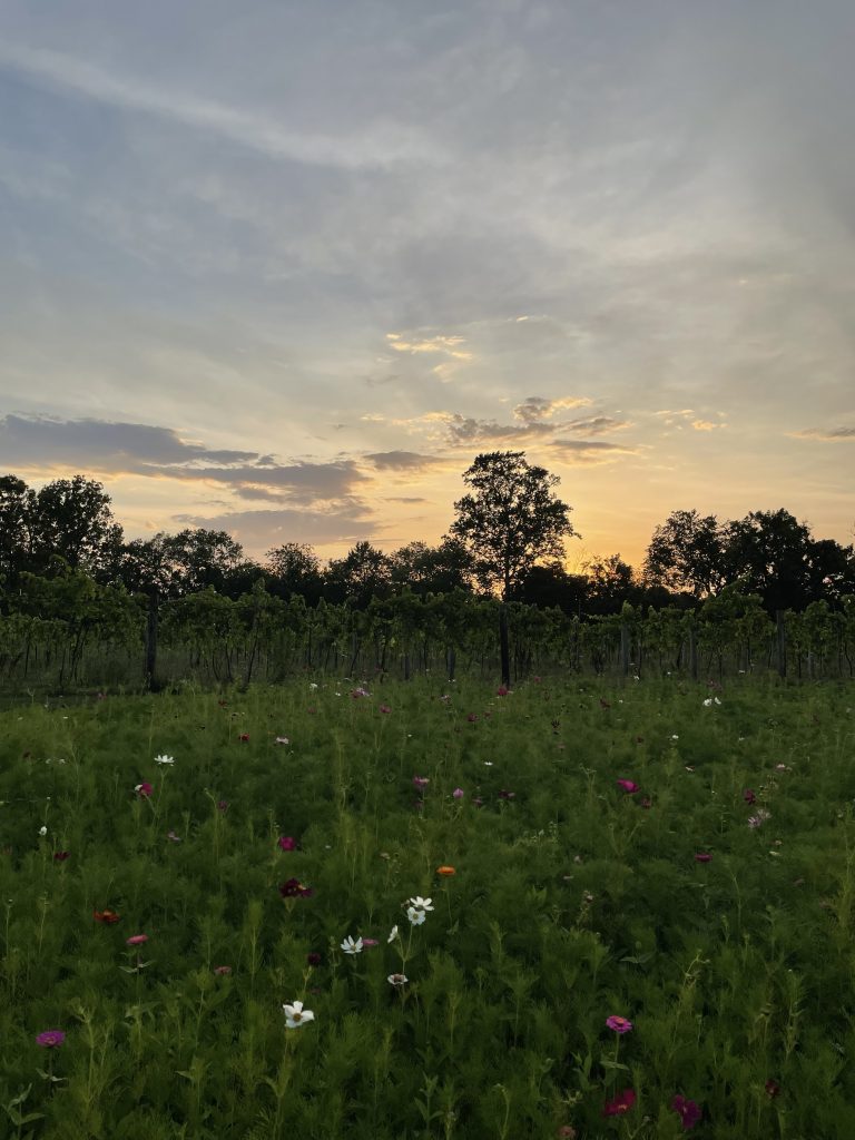 Long Hollow Gardens & Vineyards