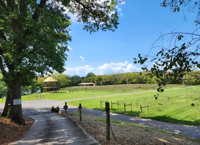 Nolichucky Vineyard